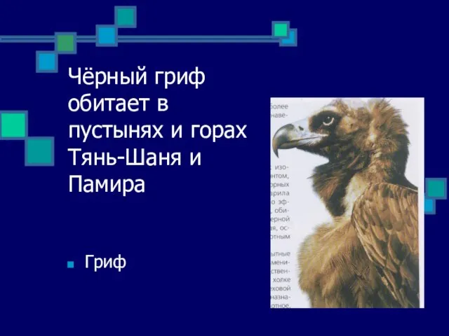 Чёрный гриф обитает в пустынях и горах Тянь-Шаня и Памира Гриф