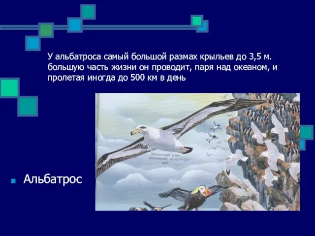 У альбатроса самый большой размах крыльев до 3,5 м. большую часть