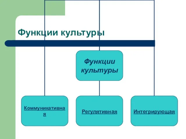 Функции культуры