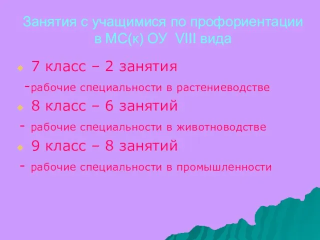 Занятия с учащимися по профориентации в МС(к) ОУ VIII вида 7