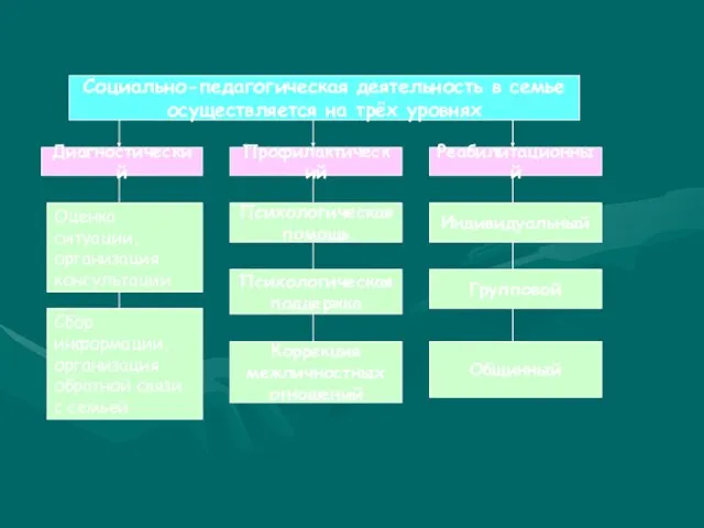 Социально-педагогическая деятельность в семье осуществляется на трёх уровнях Диагностический Профилактический Реабилитационный