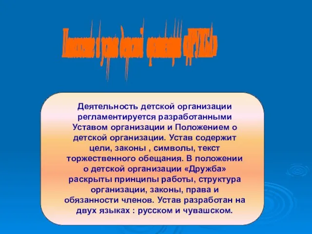 Деятельность детской организации регламентируется разработанными Уставом организации и Положением о детской