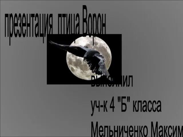 презентация птица Ворон выполнил уч-к 4 "Б" класса Мельниченко Максим