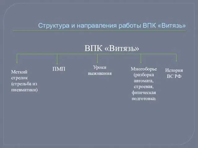 Структура и направления работы ВПК «Витязь» ВПК «Витязь» Меткий стрелок (стрельба