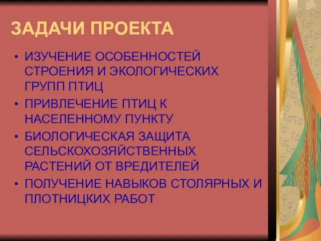 ЗАДАЧИ ПРОЕКТА ИЗУЧЕНИЕ ОСОБЕННОСТЕЙ СТРОЕНИЯ И ЭКОЛОГИЧЕСКИХ ГРУПП ПТИЦ ПРИВЛЕЧЕНИЕ ПТИЦ