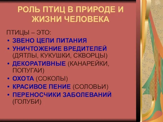 РОЛЬ ПТИЦ В ПРИРОДЕ И ЖИЗНИ ЧЕЛОВЕКА ПТИЦЫ – ЭТО: ЗВЕНО