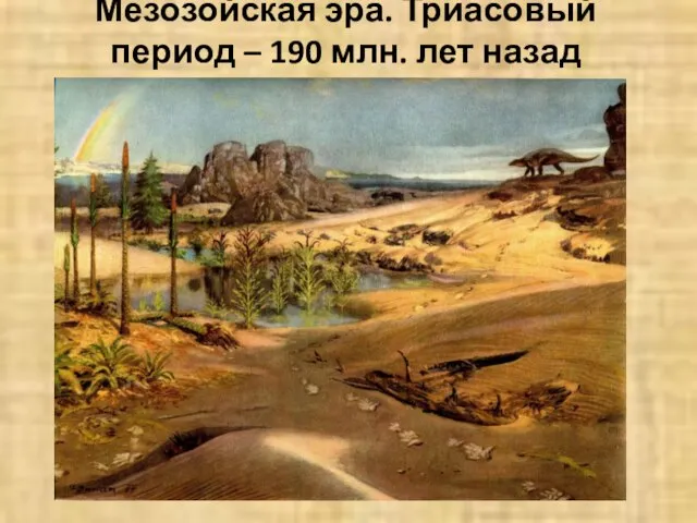 Мезозойская эра. Триасовый период – 190 млн. лет назад