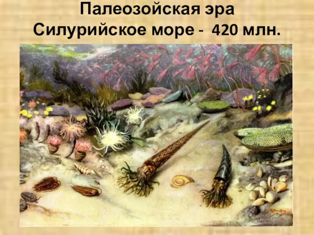 Палеозойская эра Силурийское море - 420 млн. лет назад