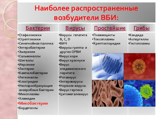 Наиболее распространенные возбудители ВБИ: