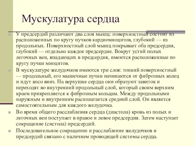 Мускулатура сердца У предсердий различают два слоя мышц: поверхностный состоит из