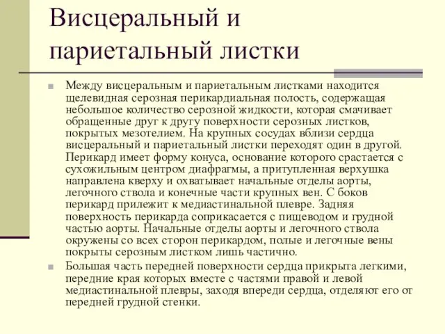 Висцеральный и париетальный листки Между висцеральным и париетальным листками находится щелевидная