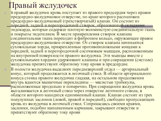 Правый желудочек В правый желудочек кровь поступает из правого предсердия через