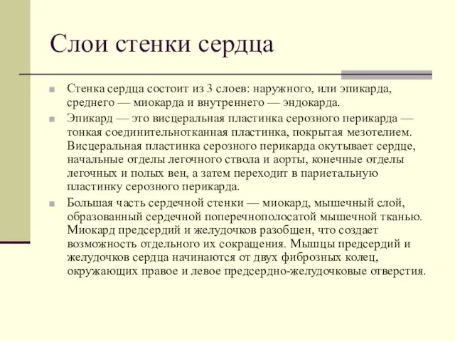 Слои стенки сердца Стенка сердца состоит из 3 слоев: наружного, или