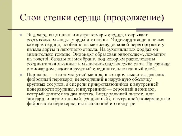 Слои стенки сердца (продолжение) Эндокард выстилает изнутри камеры сердца, покрывает сосочковые