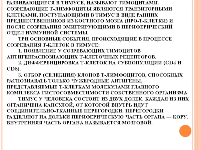 ТИМУС. СПЕЦИАЛИЗИРОВАН ИСКЛЮЧИТЕЛЬНО НА РАЗВИТИИ Т-ЛИМФОЦИТОВ. ИМЕЕТ ЭПИТЕЛИАЛЬНЫЙ КАРКАС, В КОТОРОМ