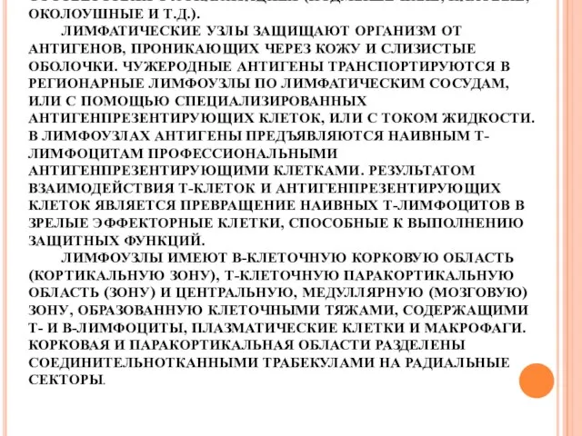 ЛИМФАТИЧЕСКИЕ УЗЛЫ СОСТАВЛЯЮТ ОСНОВНУЮ МАССУ ОРГАНИЗОВАННОЙ ЛИМФОИДНОЙ ТКАНИ. РАСПОЛОЖЕНЫ РЕГИОНАРНО И