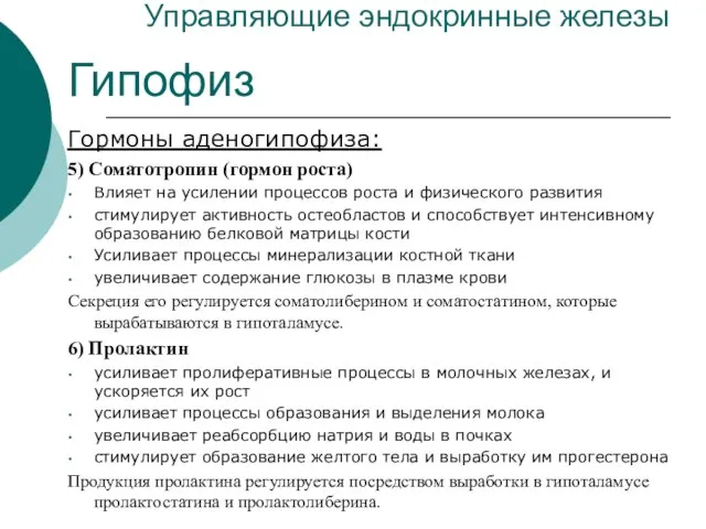 Управляющие эндокринные железы Гипофиз Гормоны аденогипофиза: 5) Соматотропин (гормон роста) Влияет