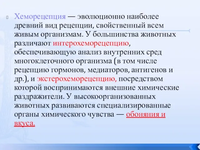 Хеморецепция — эволюционно наиболее древний вид рецепции, свойственный всем живым организмам.