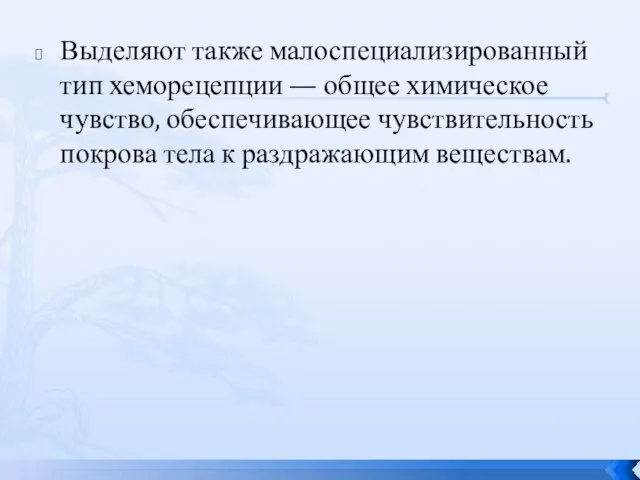 Выделяют также малоспециализированный тип хеморецепции — общее химическое чувство, обеспечивающее чувствительность покрова тела к раздражающим веществам.