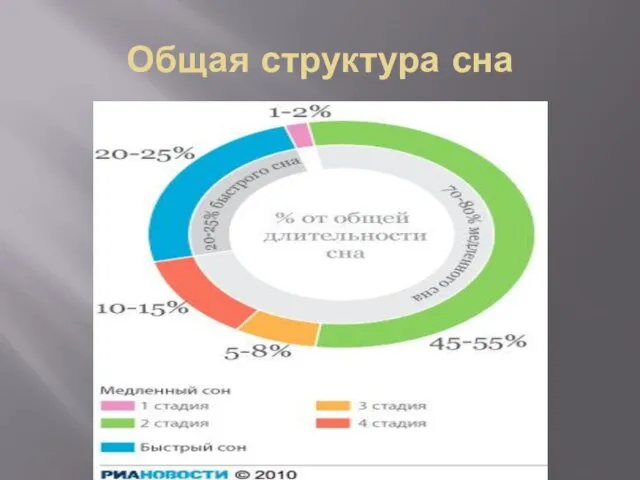 Общая структура сна