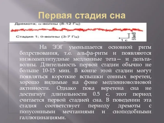 Первая стадия сна На ЭЭГ уменьшается основной ритм бодрствования, т.е. альфа-ритм