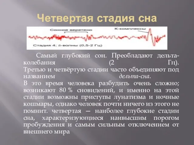 Четвертая стадия сна Самый глубокий сон. Преобладают дельта-колебания (2 Гц). Третью