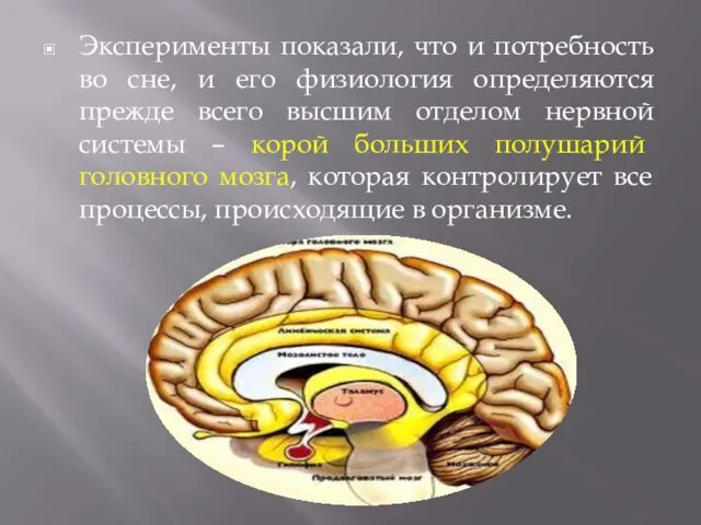 Эксперименты показали, что и потребность во сне, и его физиология определяются