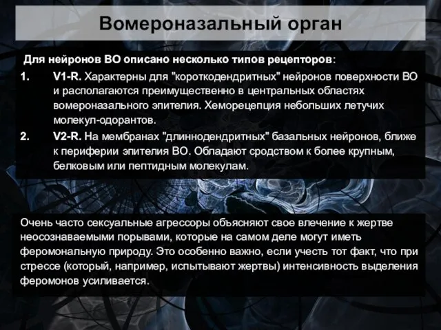 Вомероназальный орган Для нейронов ВО описано несколько типов рецепторов: V1-R. Характерны