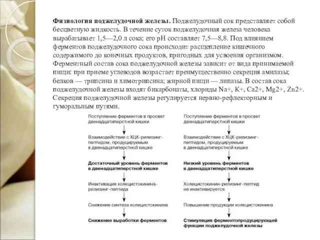 Физиология поджелудочной железы. Поджелудочный сок представляет собой бесцветную жидкость. В течение