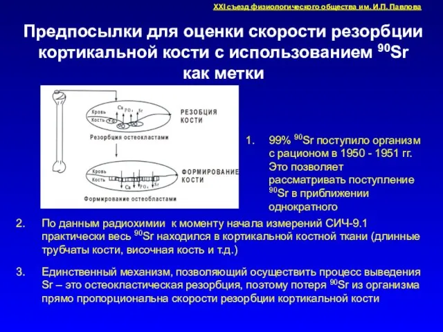 Предпосылки для оценки скорости резорбции кортикальной кости с использованием 90Sr как