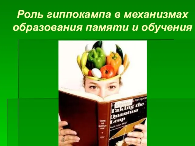 Роль гиппокампа в механизмах образования памяти и обучения