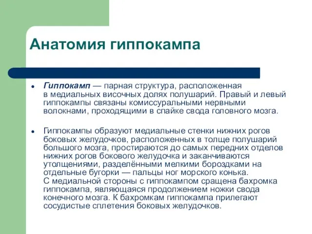 Анатомия гиппокампа Гиппокамп — парная структура, расположенная в медиальных височных долях