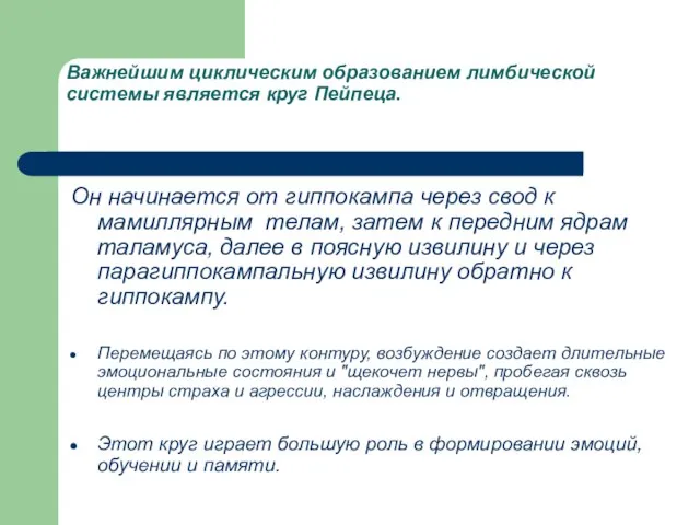 Важнейшим циклическим образованием лимбической системы является круг Пейпеца. Он начинается от