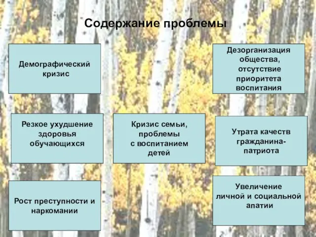 Содержание проблемы Демографический кризис Увеличение личной и социальной апатии Кризис семьи,