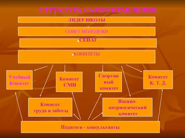 СТРУКТУРА САМОУПРАВЛЕНИЯ ЛИДЕР ШКОЛЫ СОВЕТ МОЛОДЕЖИ СЕНАТ КОМИТЕТЫ Учебный Комитет Комитет