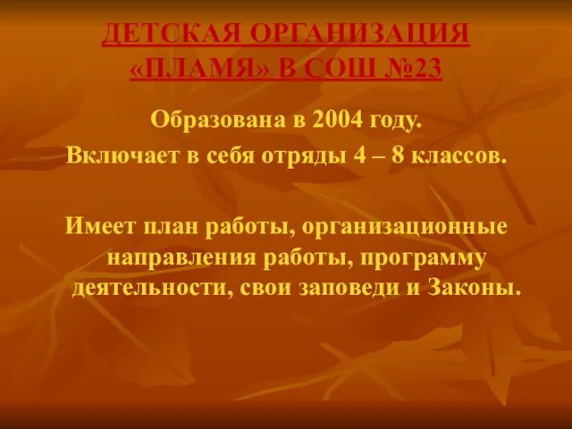 ДЕТСКАЯ ОРГАНИЗАЦИЯ «ПЛАМЯ» В СОШ №23 Образована в 2004 году. Включает