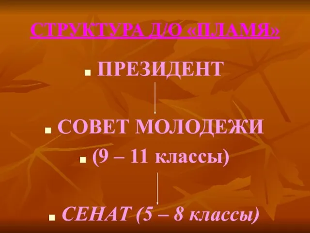 ПРЕЗИДЕНТ СОВЕТ МОЛОДЕЖИ (9 – 11 классы) СЕНАТ (5 – 8 классы) СТРУКТУРА Д/О «ПЛАМЯ»