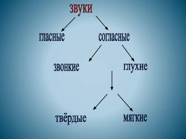 звуки гласные согласные звонкие глухие твёрдые мягкие