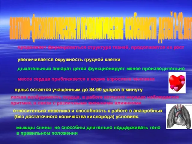 анатомо-физиологические и психологические особенности детей 7-12 лет продолжает формироваться структура тканей,