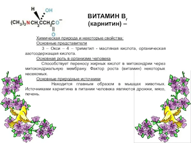 ВИТАМИН Вr (карнитин) – Химическая природа и некоторые свойства; Основные представители