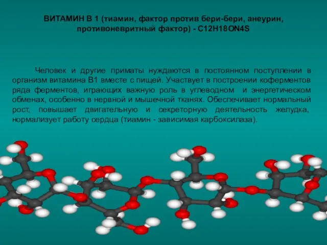 Человек и другие приматы нуждаются в постоянном поступлении в организм витамина