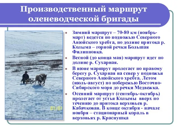 Производственный маршрут оленеводческой бригады Зимний маршрут – 70-80 км (ноябрь-март) ведется