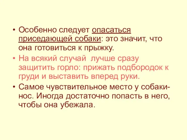 Особенно следует опасаться приседающей собаки: это значит, что она готовиться к