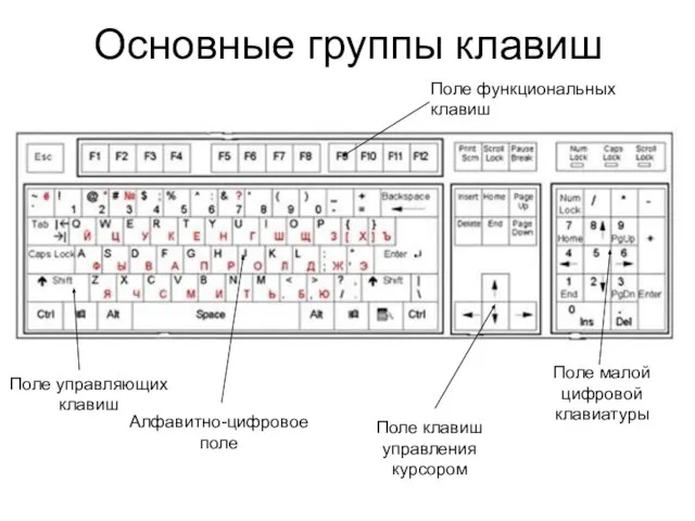 Основные группы клавиш Алфавитно-цифровое поле Поле управляющих клавиш Поле клавиш управления