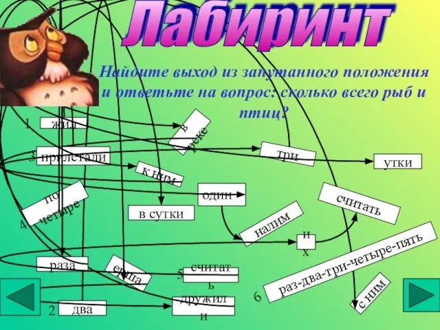 Лабиринт Найдите выход из запутанного положения и ответьте на вопрос: сколько всего рыб и птиц?