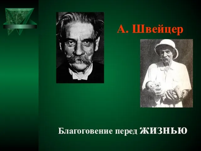 Благоговение перед жизнью А. Швейцер