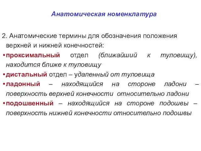 Анатомическая номенклатура 2. Анатомические термины для обозначения положения верхней и нижней