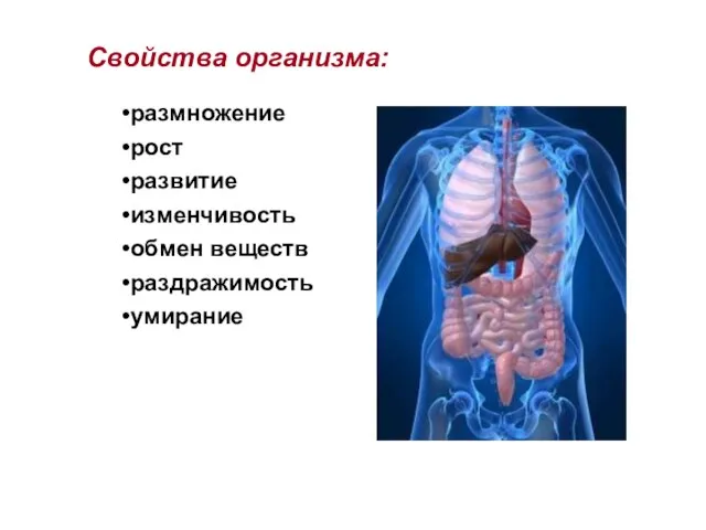 Свойства организма: размножение рост развитие изменчивость обмен веществ раздражимость умирание