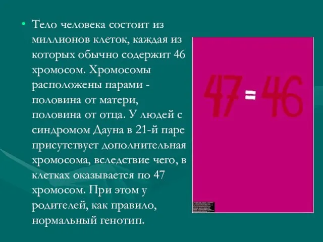 Тело человека состоит из миллионов клеток, каждая из которых обычно содержит