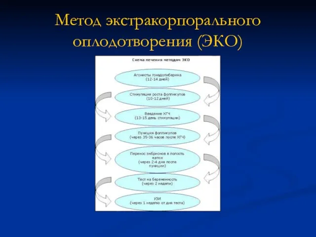 Метод экстракорпорального оплодотворения (ЭКО)